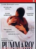 Affiche de Pummaro, film à voir en streaming sur Pygargue