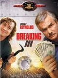 Affiche de Breaking In, film à voir en streaming sur Pygargue
