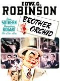Affiche de Brother Orchid, film à voir en streaming sur Pygargue