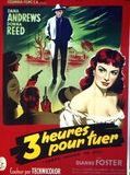 Affiche de Trois heures pour tuer, film à voir en streaming sur Pygargue