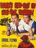 Affiche de Trafic à la Havane, film à voir en streaming sur Pygargue