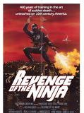 Affiche de Ultime Violence - Ninja 2, film à voir en streaming sur Pygargue
