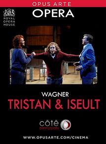 Affiche de Tristan et Iseult, film à voir en streaming sur Pygargue
