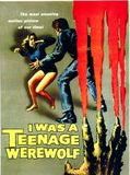 Affiche de I was a teenage werewolf, film à voir en streaming sur Pygargue