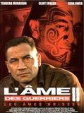 Affiche de L'Ame des guerriers II, film à voir en streaming sur Pygargue