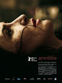 Affiche de Amnistie, film à voir en streaming sur Pygargue