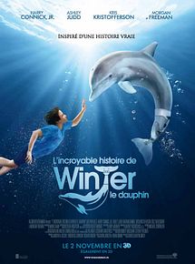 Affiche de L'Incroyable histoire de Winter le dauphin, film à voir en streaming sur Pygargue