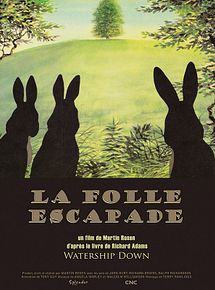 Affiche de La Folle escapade, film à voir en streaming sur Pygargue