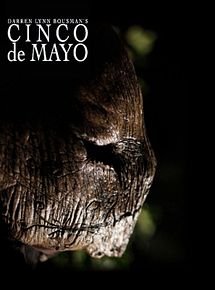 Affiche de Cinco De Mayo: La batalla, film à voir en streaming sur Pygargue