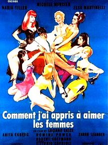 Affiche de Comment j'ai appris à aimer les femmes, film à voir en streaming sur Pygargue