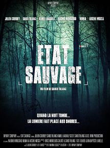 Affiche de Etat sauvage, film à voir en streaming sur Pygargue