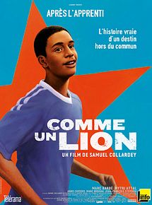 Affiche de Comme un lion, film à voir en streaming sur Pygargue