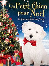 Affiche de Un Petit chien pour Noël, film à voir en streaming sur Pygargue