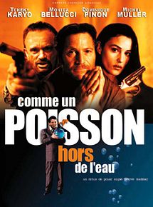 Affiche de Comme un poisson hors de l'eau, film à voir en streaming sur Pygargue