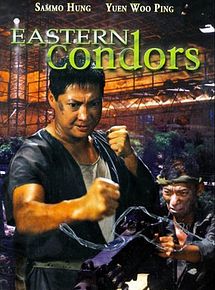 Affiche de Eastern Condors, film à voir en streaming sur Pygargue