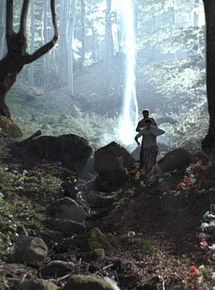 Affiche de Les Secrets de la forêt noire (TV), film à voir en streaming sur Pygargue