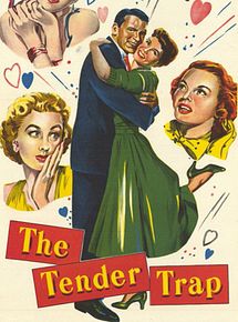Affiche de Le Tendre piège, film à voir en streaming sur Pygargue