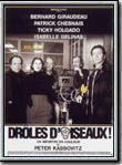 Affiche de Drôles d'oiseaux !, film à voir en streaming sur Pygargue