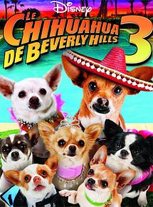 Affiche de Le Chihuahua de Beverly Hills 3 : Viva La Fiesta !, film à voir en streaming sur Pygargue