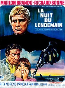 Affiche de La Nuit du lendemain, film à voir en streaming sur Pygargue