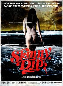 Affiche de Skinny Dip, film à voir en streaming sur Pygargue
