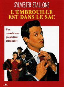 Affiche de L'Embrouille est dans le sac, film à voir en streaming sur Pygargue