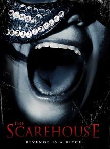 Affiche de La Maison De La Terreur, film à voir en streaming sur Pygargue