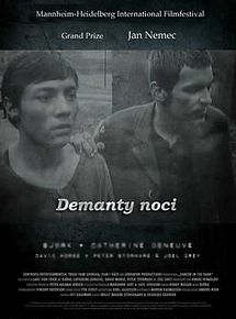 Affiche de Les Diamants de la nuit, film à voir en streaming sur Pygargue