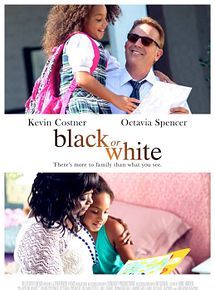 Affiche de Black or White, film à voir en streaming sur Pygargue