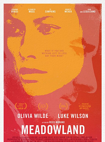 Affiche de Dans la brume du soir, film à voir en streaming sur Pygargue