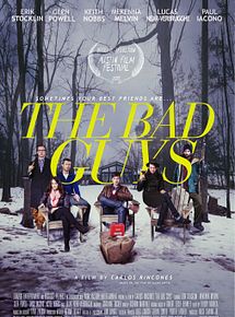 Affiche de The Bad Guys, film à voir en streaming sur Pygargue