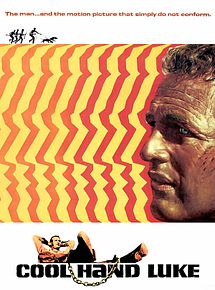 Affiche de Luke la main froide, film à voir en streaming sur Pygargue