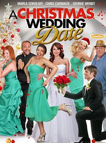 Affiche de Une Seconde chance pour Noël, film à voir en streaming sur Pygargue