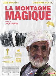 Affiche de La montagne magique, film à voir en streaming sur Pygargue
