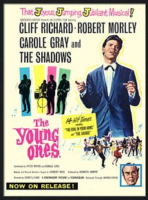 Affiche de The Young Ones, film à voir en streaming sur Pygargue