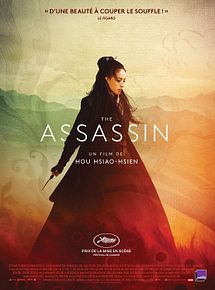 Affiche de The Assassin, film à voir en streaming sur Pygargue