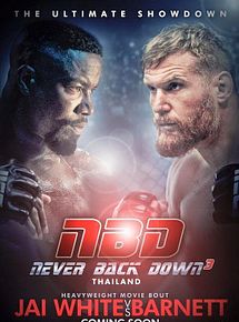 Affiche de Never Back Down: No Surrender, film à voir en streaming sur Pygargue