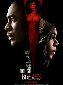 Affiche de When The Bough Breaks, film à voir en streaming sur Pygargue