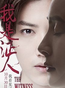 Affiche de The Witness, film à voir en streaming sur Pygargue
