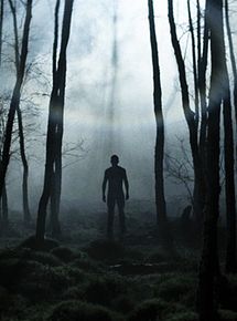 Affiche de Without Name, film à voir en streaming sur Pygargue