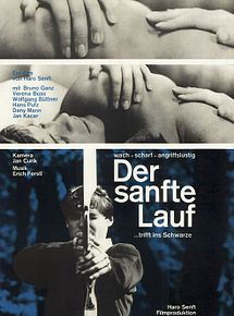 Affiche de Le Cours des choses, film à voir en streaming sur Pygargue