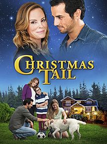 Affiche de Deux foyers pour Noël, film à voir en streaming sur Pygargue