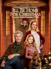 Affiche de Sacré Père Noël, film à voir en streaming sur Pygargue