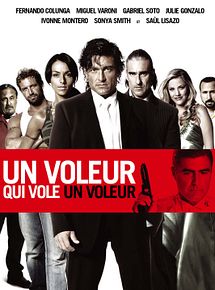 Affiche de Un voleur qui vole un voleur, film à voir en streaming sur Pygargue