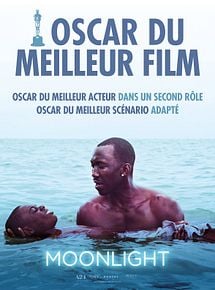 Affiche de Moonlight, film à voir en streaming sur Pygargue