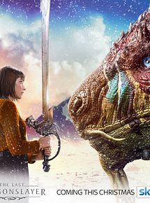 Affiche de La dernière tueuse de dragons, film à voir en streaming sur Pygargue