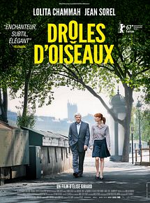 Affiche de Drôles d'oiseaux, film à voir en streaming sur Pygargue