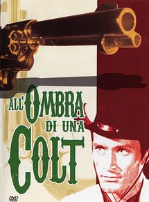 Affiche de Un mercenaire reste à tuer, film à voir en streaming sur Pygargue