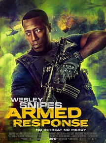 Affiche de Riposte armée, film à voir en streaming sur Pygargue