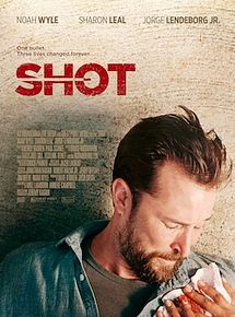 Affiche de Shot, film à voir en streaming sur Pygargue